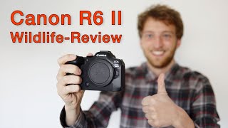 Die BESTE Kamera für die Tierfotografie Canon R6 II  Meine Erfahrungen Review [upl. by Roban]