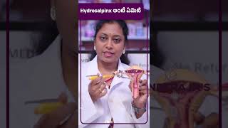 What is Hydrosalpinx Brief Explanation  Dr Neerajas Fertility amp Gynaec Center [upl. by Ah421]