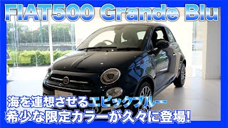 【フィアット】夏らしいカラーの限定車が久々に登場！FIAT500グランデ ブルFIAT Grande Blu [upl. by Brubaker375]