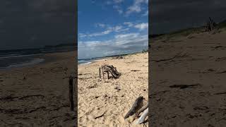 Elephant Graveyard Sand Monuments  Urunga NSW Australia [upl. by Maxy120]