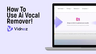 How to Use Ai Vocal Remover on Vidnoz Ai easy [upl. by Codee994]