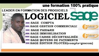 SAGE GESTION COMMERCIALE REMISE SUR FACTURE GLOSSAIRE [upl. by Jena]