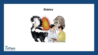 Rabies [upl. by Dammahum558]