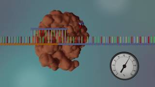 DNA Sequencing  3D [upl. by Jocelin]