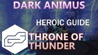 A Guide to Heroic Dark Animus VOX ToT [upl. by Huey]