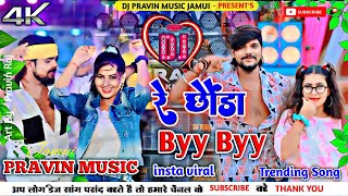 Dj Parvin Music  Re Chhauda Byy Byy Dj Remix  Ktm Raja Dj Song  रे छौड़ा Byy Byy  New Song [upl. by Wassyngton]