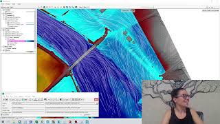 Chapter 8 HEC RAS 2D Bridge tutorial [upl. by Vudimir128]