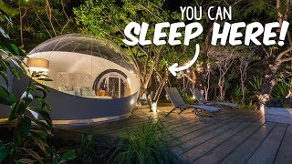 Incredible Bubble Hotels Around the World [upl. by Delmore262]