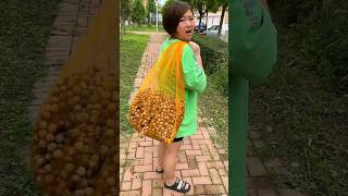 He Couldnt Believe These Were Good Hazelnuts 🌰🌰  Amazing Fresh Dryfruit shorts youtubeshorts [upl. by Ddot540]