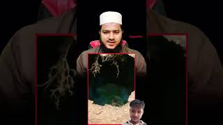 motivation emotional urdu motivational love dhruvrathee mission100crore qabr subhanallah [upl. by Reniti]