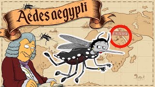 O Mosquito Aedes aegypti [upl. by Lemaceon609]