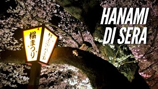 HANAMI ROMANTICO DI SERA IN GIAPPONE Yozakura よざくら [upl. by Rehpotsirh]