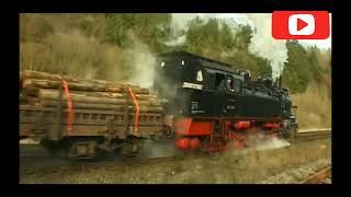 Steam Engine Train Wood loaded Goods Train [upl. by Ahselyt]