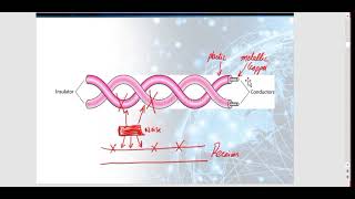 CS601 Topic  101 to 113  final term preparation  imp quiz  short [upl. by Lagasse]