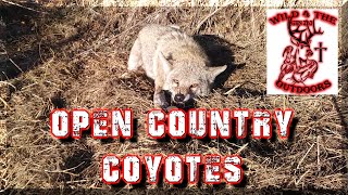 Open Country Coyote Trapping [upl. by Meekahs]