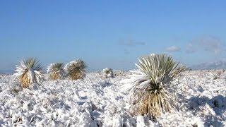 Snow in Central Mexico amp 2nd quotRarequot SW USA Snowstorm  Mini Ice Age 20152035 46 [upl. by Anikal]