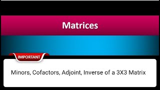 Minors Cofactors Adjoint Inverse of a 3X3 Matrix  Class 12th Hindi [upl. by Nylessej365]