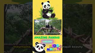 Panda Facts for Kids Learn About These Amazing Animals panda [upl. by Adnarahs]