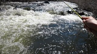 Fast Water Nymphing  East Walker River [upl. by Eenaej271]