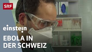 Ebola – Gefahr für die Schweiz Pflanzen im Hochgebirge amp Steinschlaggefahr  Einstein  SRF Wissen [upl. by Nesnaj119]