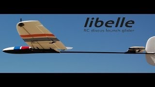 DreamFlight Libelle DLG Review  RCGroupscom [upl. by Fabri366]