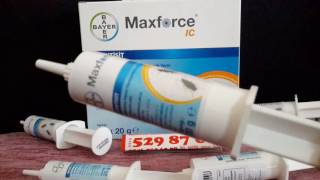 Bayer maxforce jel böcek ilacı fiyat [upl. by Nidla420]