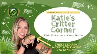 Katie’s Critter Corner Episode 3 THESE LIZARDS SHOOT WHAT FROM THEIR EYES [upl. by Enialehs]