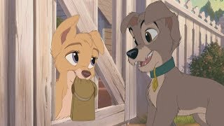 Lady and the Tramp 2  Scamp meets Angel HD [upl. by Moyer]