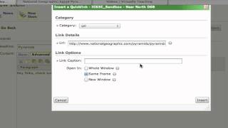 D2L  Editing Tools  Creating an External Hyperlink [upl. by Ailet841]