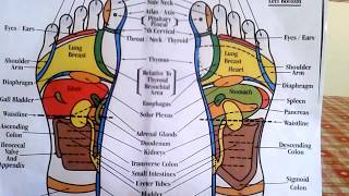 Build Strong Feet Exercises To Strengthen Your Foot amp Ankle [upl. by Gnav]