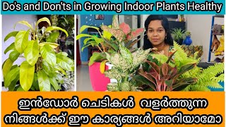 15 Tips to Grow Indoor Plants Healthy  Fertilizer  ഇൻഡോർ ചെടി ഭംഗിയോടെ വളർത്താൻ 15 ടിപ്സ് [upl. by Reyna]