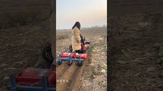 Multifunctional tillersupport agriculture rural areas and farmers support Orchard minitractor [upl. by Netsriik]