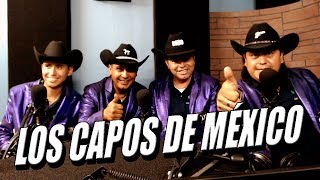 Los Capos de México  Entrevista [upl. by Ninerb]