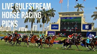 Live Gulfstream Park Horse Racing Picks [upl. by Landry490]