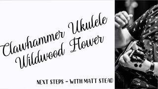 UKULELE  NEXT STEPS  CLAWHAMMER UKULELE WILDWOOD FLOWER [upl. by Maribeth]