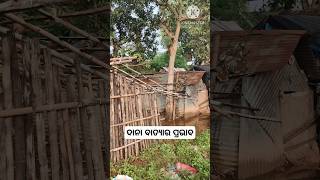 Difficulties for dana cyclone in odisha😭😭😭 Jajpur shortsfeed help poorhelping explore trending [upl. by Schreck]