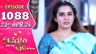 Anbe Vaa Serial  Episode 1088  23rd April 24  Virat  Shree Gopika  Saregama TV Shows Tamil [upl. by Veron771]