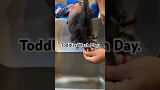 How To Grow Your Toddlers Hair Easy amp Quick Wash Day toddlerhairstyles curlykids hairtime [upl. by Andonis]