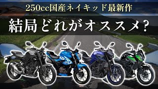 【全て乗りました】250ccネイキッド 最新作はこれを選んでおけば間違いない！【cb250r gixxer250 z250 mt25】 [upl. by Nwahshar]