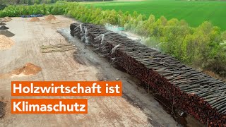 Sägekraftwerk Pollmeier „Holzwirtschaft ist Klimaschutz“ [upl. by Arahat]