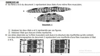 SUJET DE SVT BAC 2025 EXERCICE TYPE BAC SUR LES MUSCLES [upl. by Guibert]