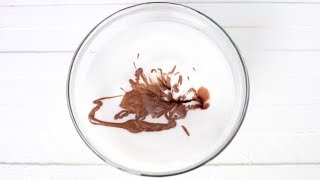 2 Ingredient Vegan Chocolate Mousse [upl. by Kavanagh156]