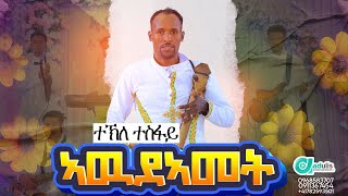 ተኽለ ተስፋይ  አውደአመት ጭራ ዋጣ   Tekle Tesfay  Awdeamet  New Tigrigna Music 2024 [upl. by Dedric]