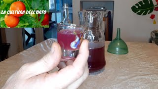 Liquore al Melograno ricetta semplice fatta in casa [upl. by Lunetta191]