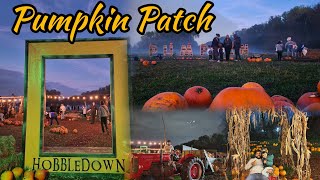 Pumpkin Patch 🎃 at Hobbledown Heath Hounslow London Halloween Kids [upl. by Neelhsa]