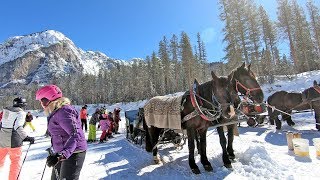 The hidden valley Alta Badia a ski run ending with a horse tow [upl. by Edelstein]