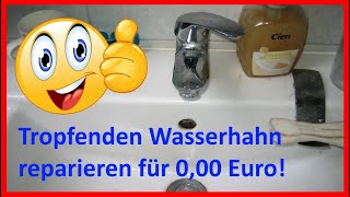 Tropfenden Wasserhahn reparieren Einhandmischer Kartusche Patrone ausbauen entkalken und fetten [upl. by Accisej]