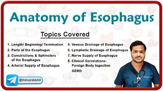 Anatomy of Esophagus Parts Constrictions Neurovascular supply Venous amp lymphatic drainage [upl. by Meekah]