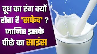 दूध का रंग सफेद क्यों होता है amegingfect Motivational viralreel viralvideo [upl. by Kelwin]