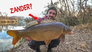 Das ist aber kein Zander freestylefishing [upl. by Deehsar]